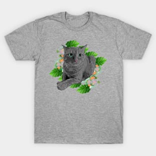 Carribean Polydactyl Kitty T-Shirt